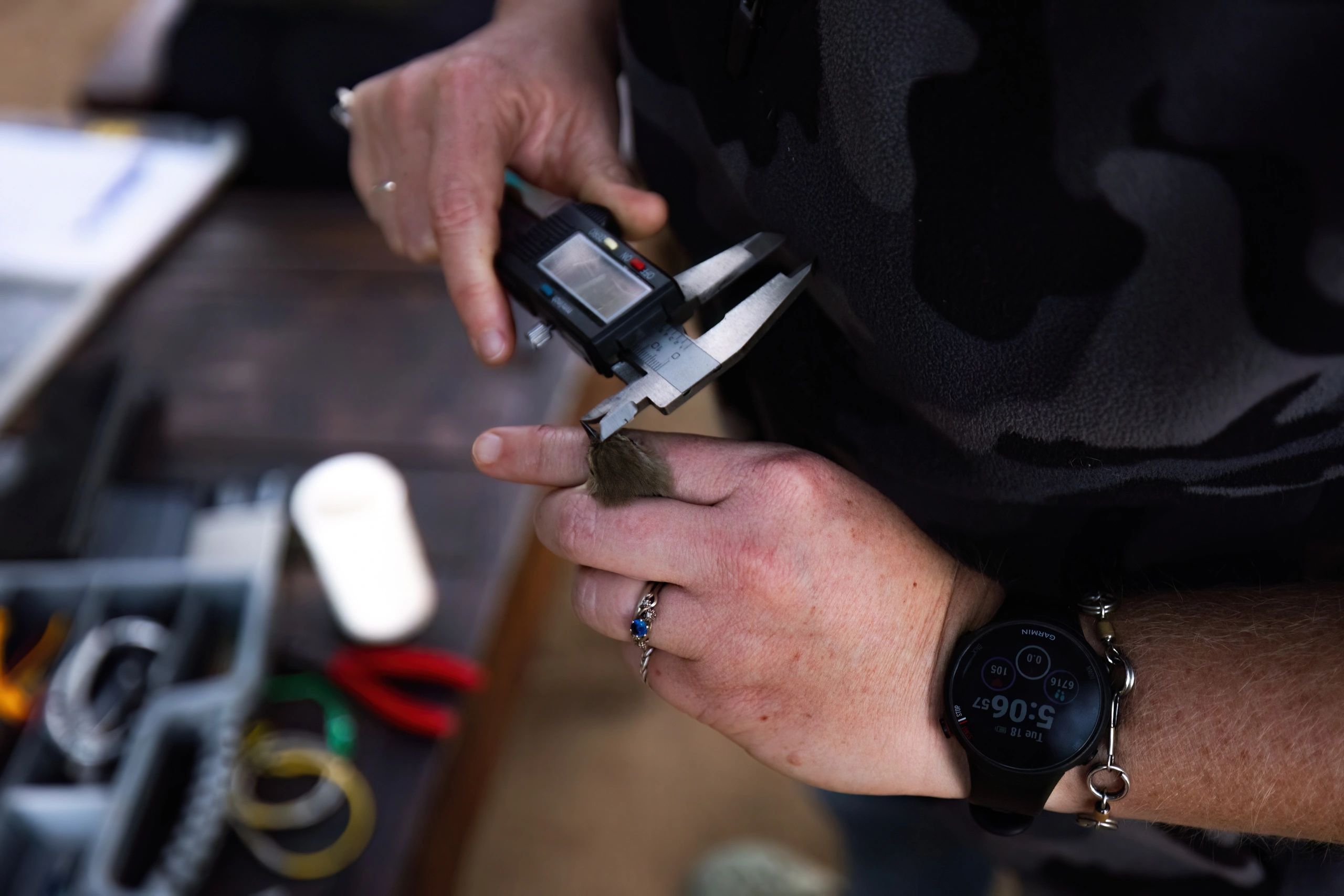 Jewellery inspection tools representing hallmarking information